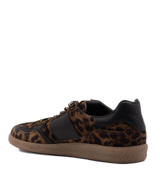 Cetti Cetti dames sneakers leopard Leopardo Tabac Cetti Dames Sneakers in Bruin Leo Combi online kopen